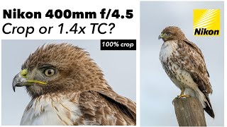 Nikon Z 400mm f/4.5  Crop or use the 1.4x Teleconverter?