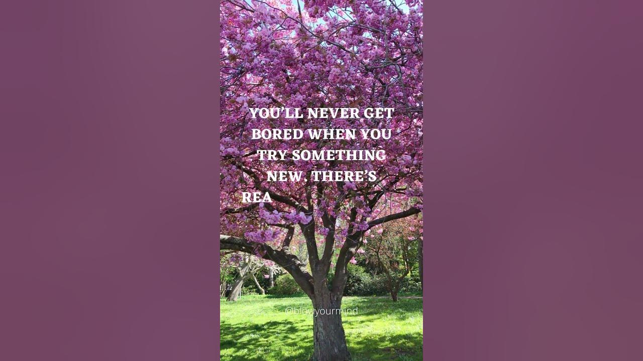 You ll never get bored when you try something new there s really no