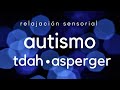 Autismo, Asperger y TDAH: Música de relajación para calmar la mente y mejorar la concentración