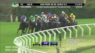 GRAN PREMIO 2000 GUINEAS G1 2019 - IMPERADOR