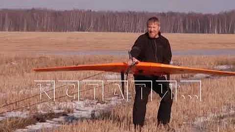 Диких животных в нижегородских лесах пересчитают с воздуха
