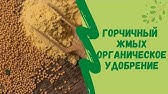 Горчичный жмых. Применяйте осторожно!!! Мои ошибки при его применении ...