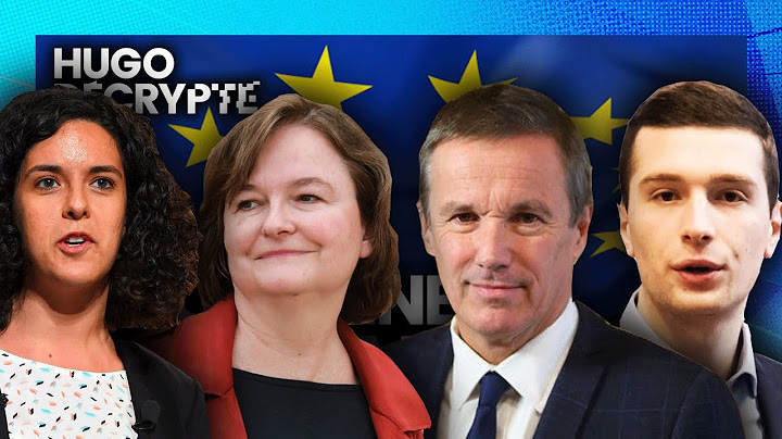 ÉLECTIONS EUROPÉENNES : la vidéo pour tout comprendre
