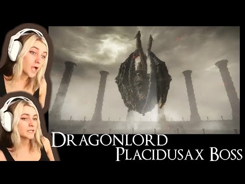 Dragonlord Placidusax Boss Fight | MAGE BUILD