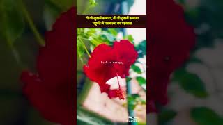 कुदरत कहती है एक ही कहानी  | वो जो मुझमें समाया, वो जो तुझमें समाया II Om Shanti Retreat Center