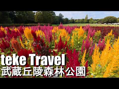 【観光】武蔵丘陵森林公園/埼玉県滑川町 国立公園で秋の絶景スポットを鑑賞