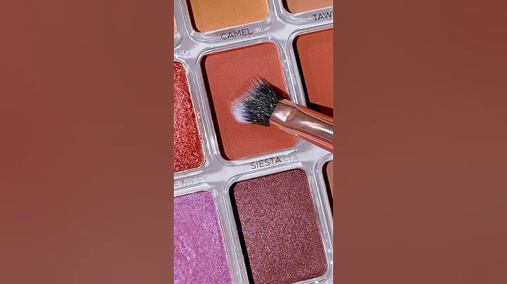 Beauty starts with tool @profusionco Brush Set #profusioncosmetics #makeup #beauty #makeupsponge