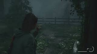 Alan Wake 2 lighting bug after patch