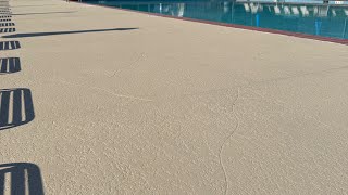 The Hero Product for Many Pool Deck Coating Challenges! Applies like Paint, Performs like More!