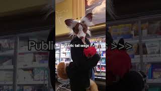 Public Tail Wags Are The Best