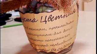 Вы не знаете как оригинально подарить деньги? Вы не знаете как оригинально подарить деньги?