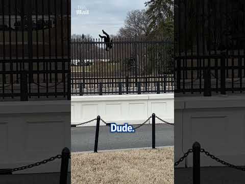 Secret Service stop man climbing White House fence