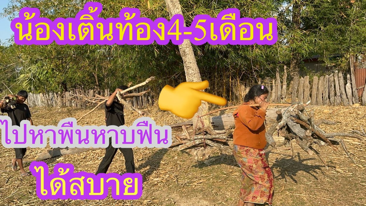 น้องเติ้นบุกคนหน้าช่วยเหลือท้อง4-5เดือนหาบฟืนหนักได้เฉย✌️🇱🇦❤️🇹🇭