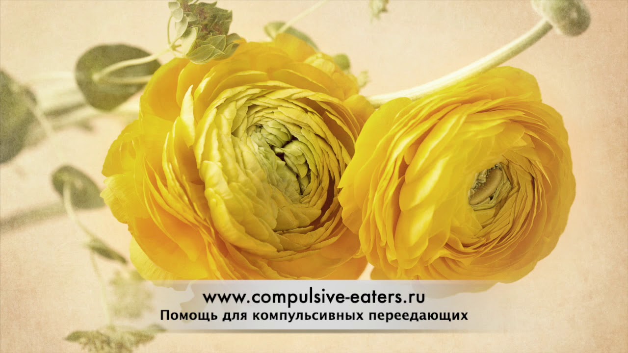 Компульсивное переедание: Маргарит, истония выздоровления - YouTube