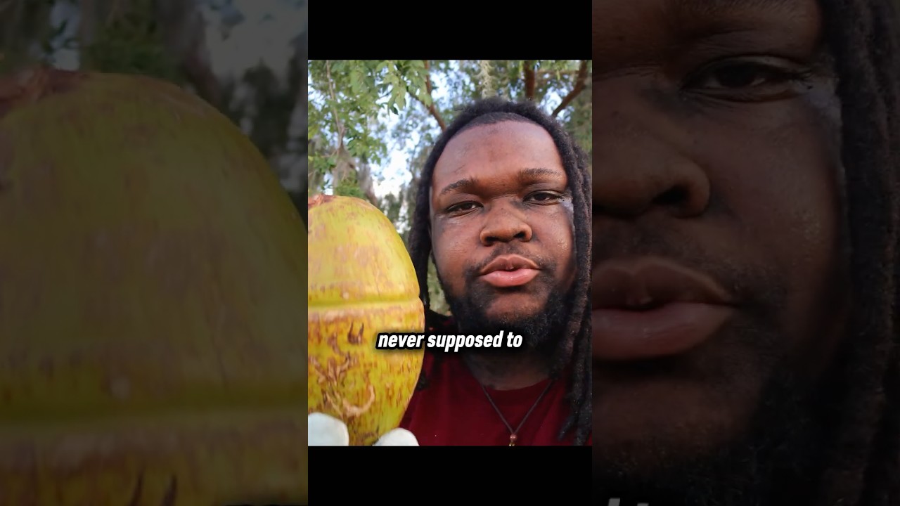 You Were Never Supposed To Drink Coconuts 🥥