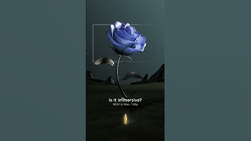 TCL Flagship Product Launch--Countdown DAY1