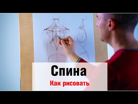 видео: Как рисовать "Спину" - А. Рыжкин