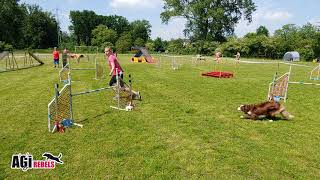 Angel Wallachia Flower Ostrava - Dvojzkoušky Agility The North Face 2.6.2019 La3