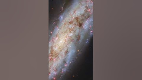 NGC 3511 - Hubble Space Telescope #shorts