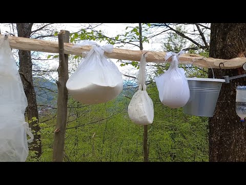Сыр из овечьего молока. #домашныйсыр