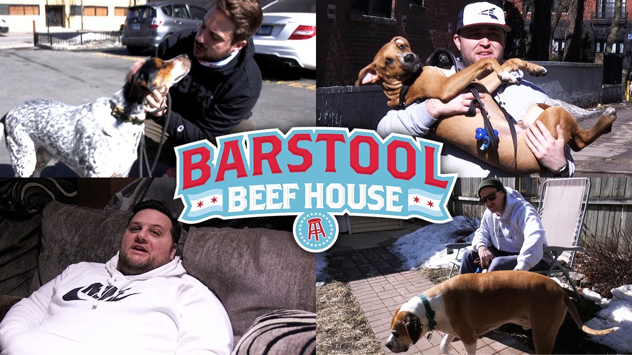 Meet the Dogs of Barstool Chicago Beef House Vol 15 YouTube