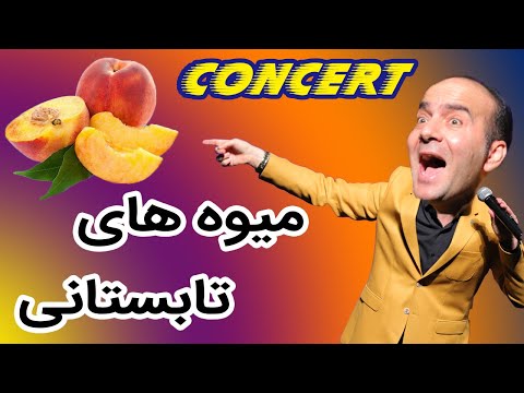Hasan Reyvandi - Concert 2020 | حسن ریوندی - میوه های تابستانی