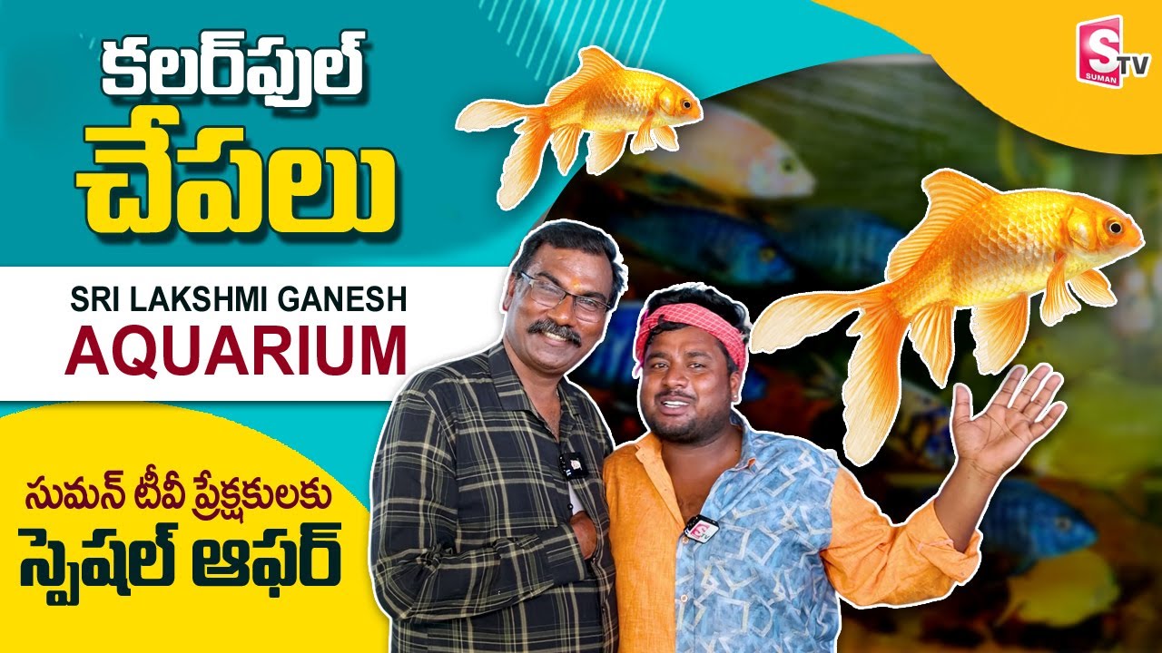 Sri Lakshmi Ganesh Aquarium Aquarium Fish Tank in Hyderabad SumanTV