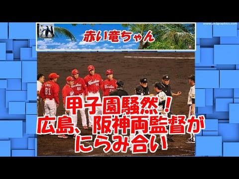 【甲子園騒然】　広島・野村監督、阪神・和田監督がにらみ合い　菊池の胸部死球を巡って警告試合