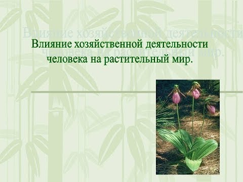 Влияние хозяйственной  деятельности человека на растительный мир