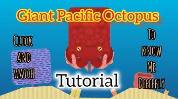 Giant Pacific Octopus Tutorial (re-upload) #deeeepio