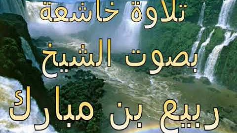 تلاوة خاشعة بصوت الشيخ ربيع بن المبارك