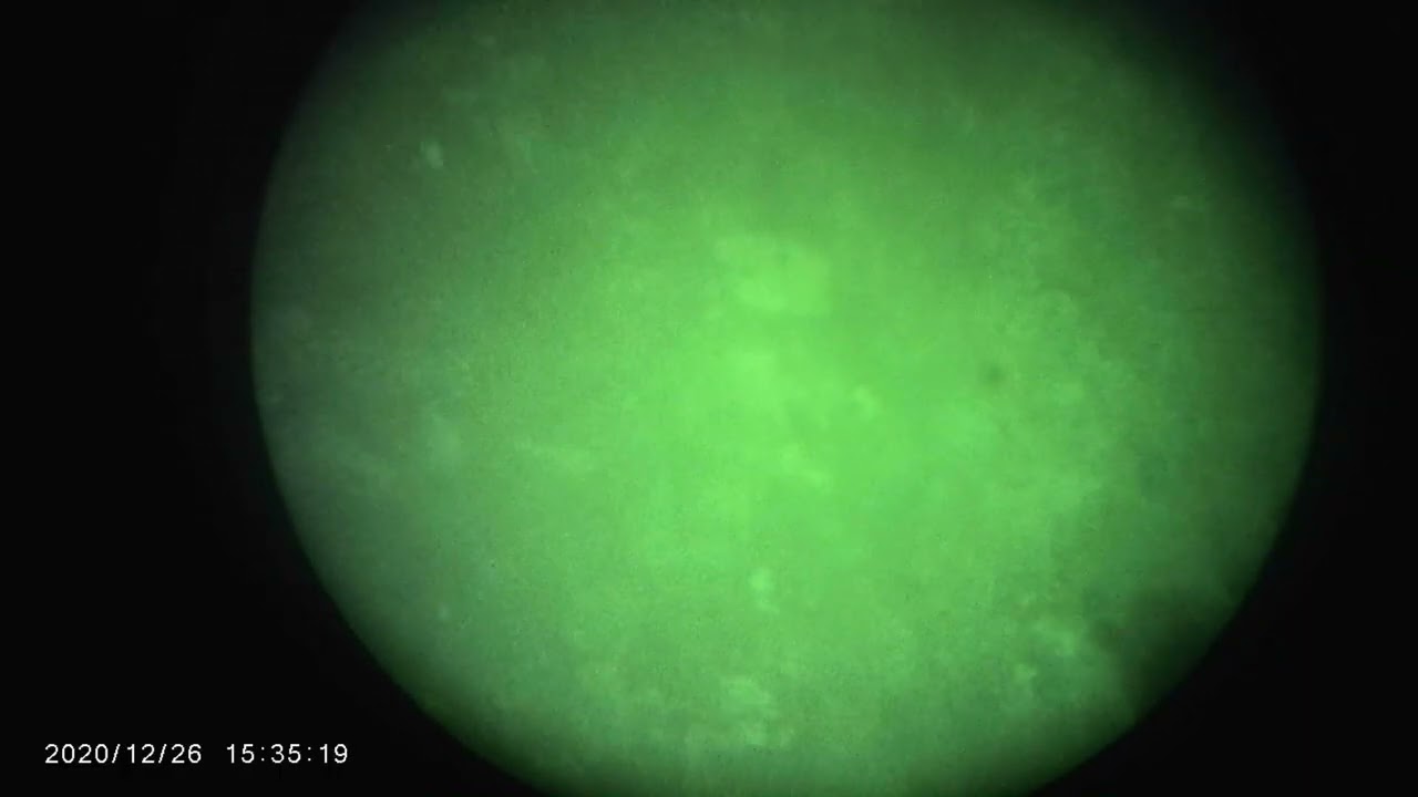 R.O.O.T. AH-TCAAP 2-5 [ Ascend ]