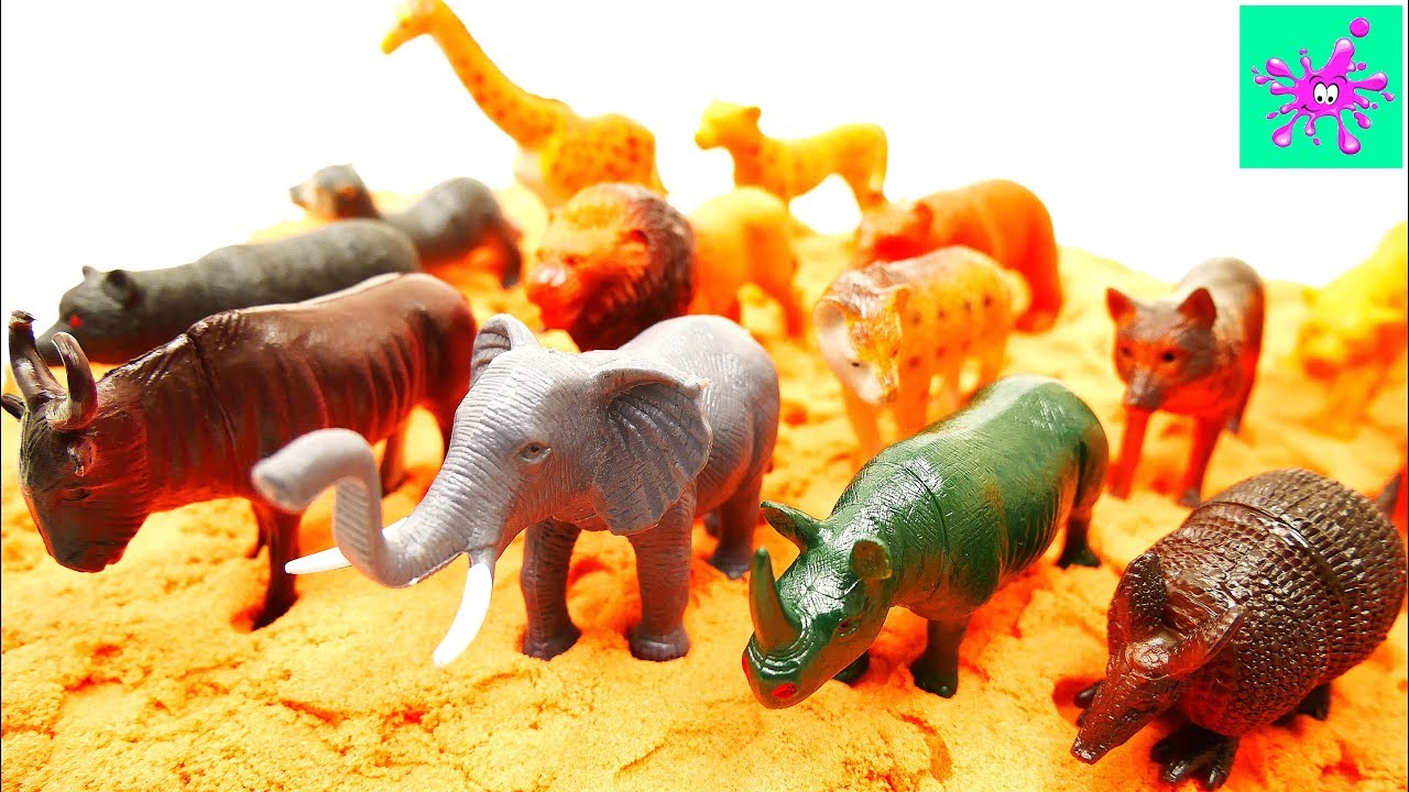 Learn Wild Animals Names | Kids Learning | Learn Animals Names For Kids
