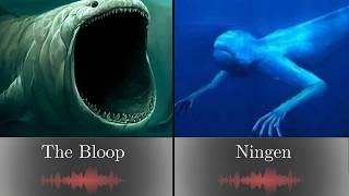 The Bloop vs Los Ningen: Myth and Reality