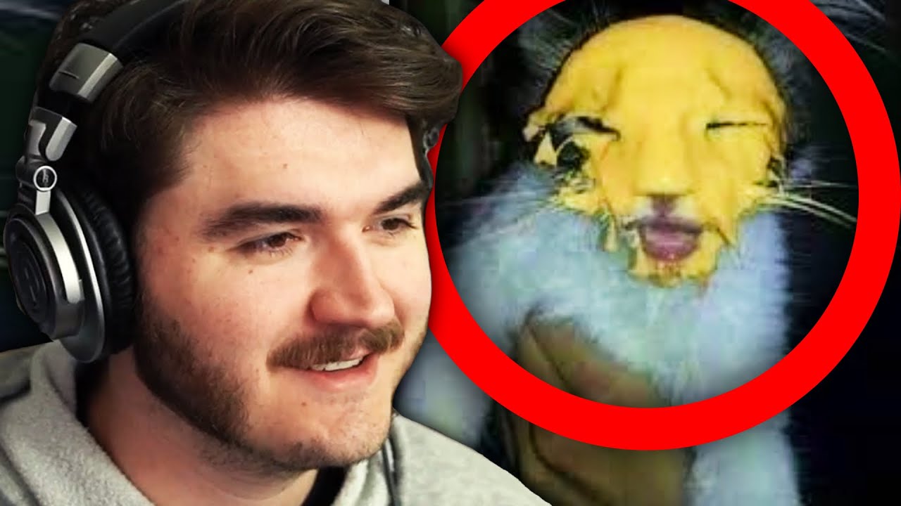 Schlatt Reacts to the WORST Tiktoks