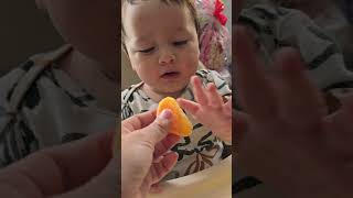 hoy descubrimos que mariano ama la mandarina 😅 #receta #recetabebe #saludable #10meses