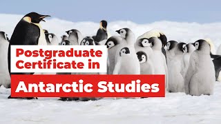 Postgraduate Certificate in Antarctic Studies