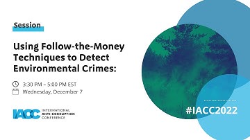 Using Follow-the-Money Techniques to Detect Environmental Crimes: Potential and Challenges