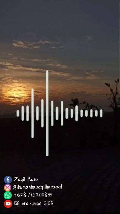 Story WA 30 detik Alan Walker - Lily