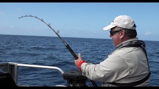 Downrigger  Live  Baiting For Yellowtail Kingfish