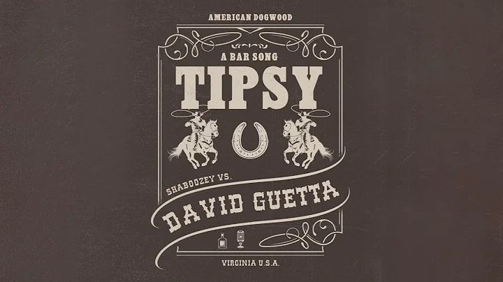 Shaboozey vs. David Guetta - A Bar Song (Tipsy) [Remix] (Official Visualizer)