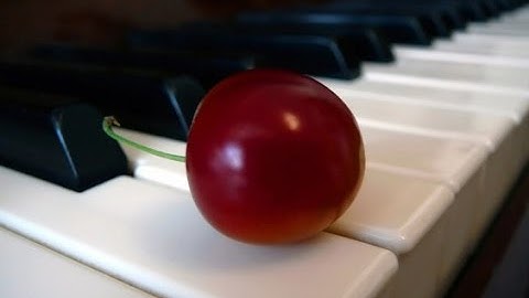 Matters of Taste: Neuroscience and Philosophy