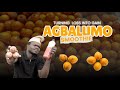Agbalumo Smoothie II African Star Apple