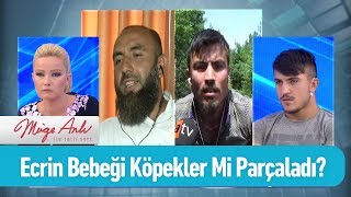 Ecrin Bebeği Köpekler Mi Parçaladı? - Müge Anlı Ile Tatlı Sert 31 Mayıs 2019