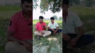 बैंक में नहीं खाता घर पर खाता🤓😂🥰 #viral #funnyvideos #rnscomedy #bank