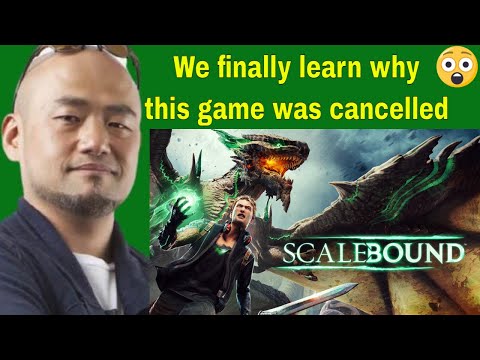 Platinum Games Hideki Kamiya finally gives the reason why Xbox exclusive Scalebound was cancelled