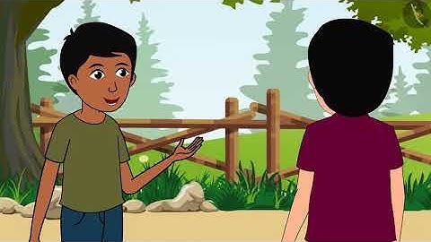 Class 5 EVS Chapter 22 On The Move Again (Part 1) Environmental studies Looking Around