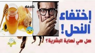 عجائب واسرار عن النحل والعسل