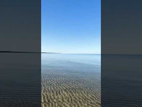 Wandering Saugeen Beach Youtubeshorts Nature Beaches