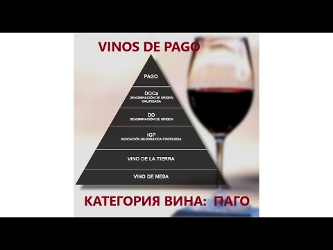 Ютуб канал вин вин